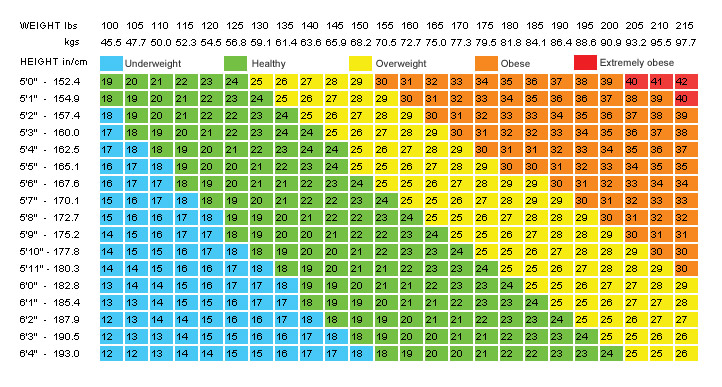 Check Bmi Chart