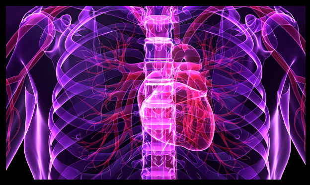 Purple x-ray with pink heart