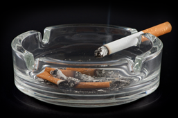 Alpine Smoking Ashtray